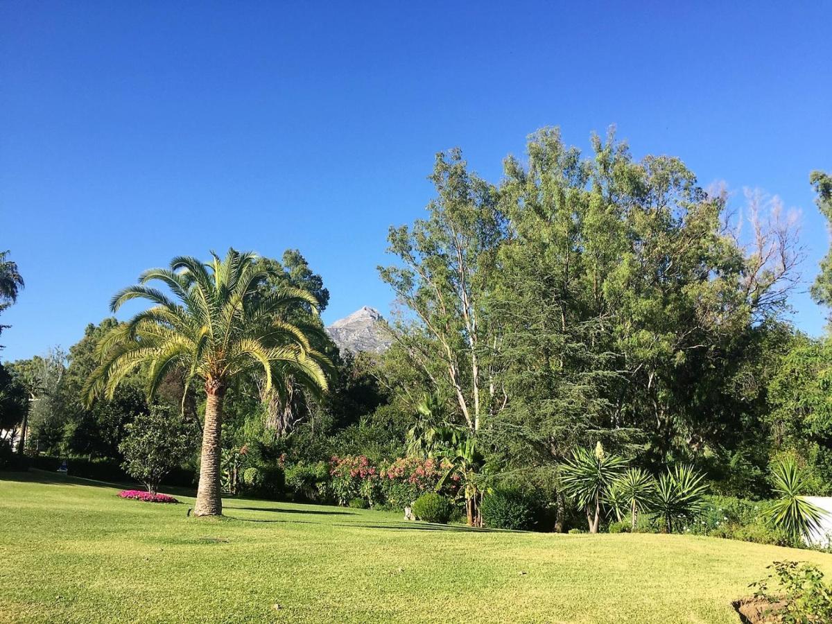Nueva Andalucia - Penthouse Apartment Marbella Bagian luar foto